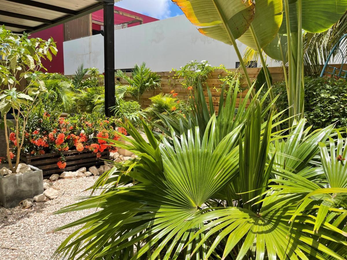Casa Mantana Bonaire Panzió Playa Kültér fotó
